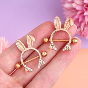 Understanding Nipple Piercing Jewelry