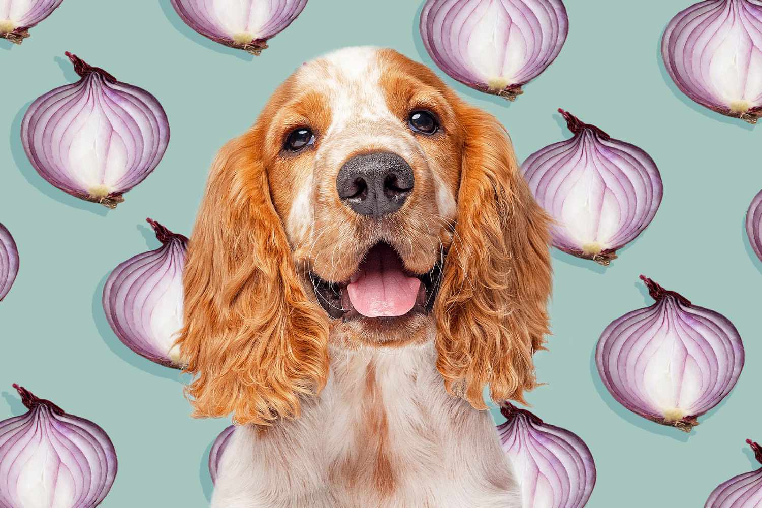 Introduction: Can Dogs Eat Food with Onions? Let’s Find Out