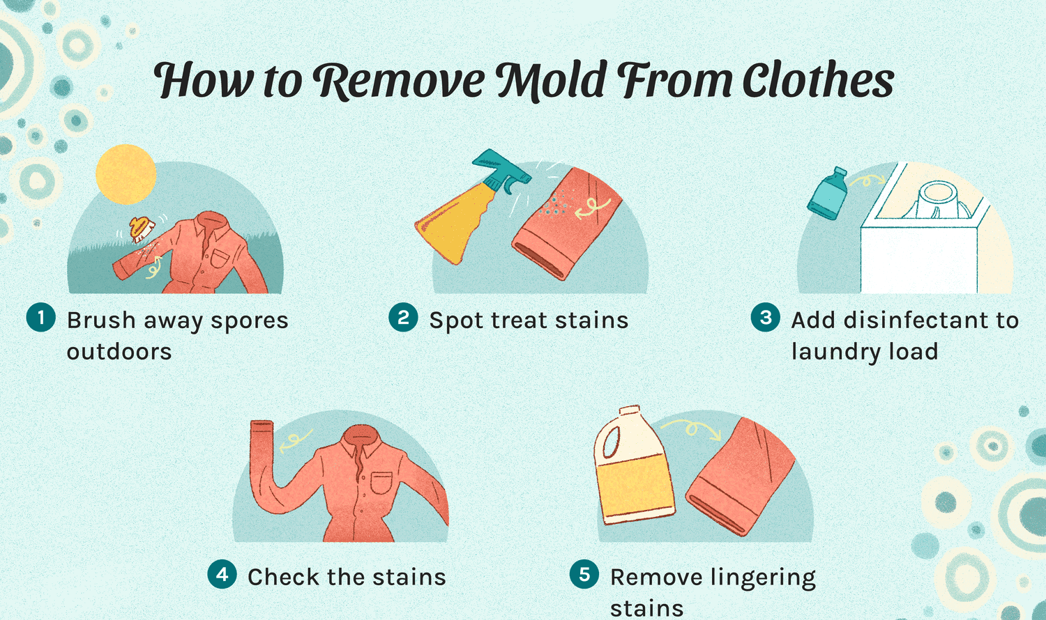 How to Get Mold Out of Clothes: The Complete Guide